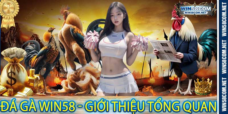 Đá Gà Win58 - Giới thiệu tổng quan