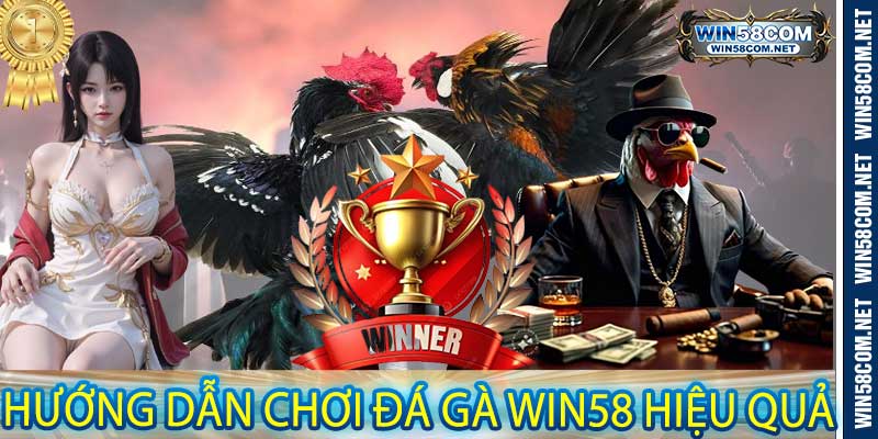 Hướng dẫn chơi Đá Gà Win58 hiệu quả