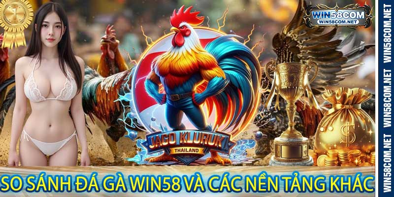 So sánh Đá Gà Win58 và các nền tảng khác